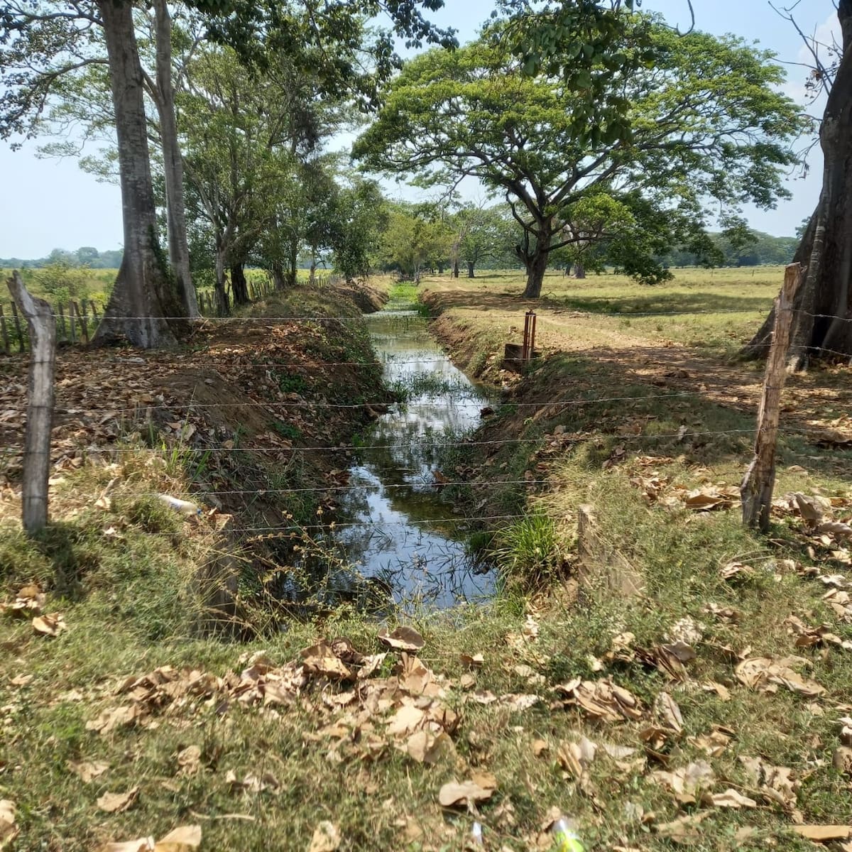 Los demandantes señalan que las tierras han sido objetos de invasores. // Foto: Cortesía