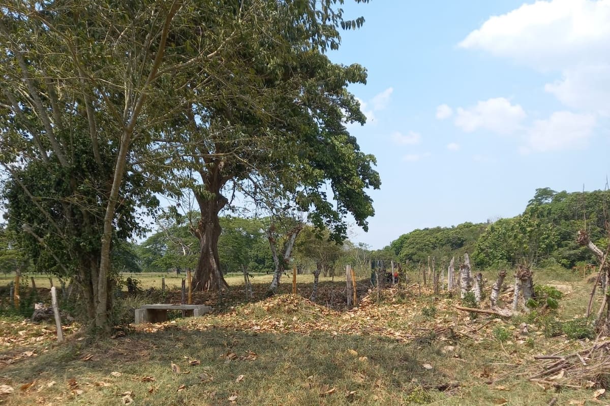 Tribunal admite demanda por “ocupación arbitraria de tierra” en Arjona