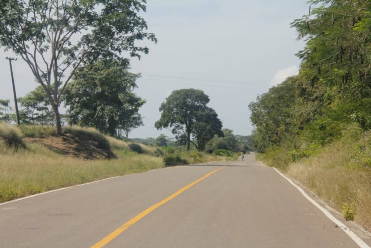 Henry Montesino Hernández manejaba una moto por la vía a Las Piedras, jurisdicción de Arjona, cuando chocó contra un búfalo que atravesaba esa carretera. Su familia desconoce de qué finca salió el animal. Las autoridades investigan el hecho.