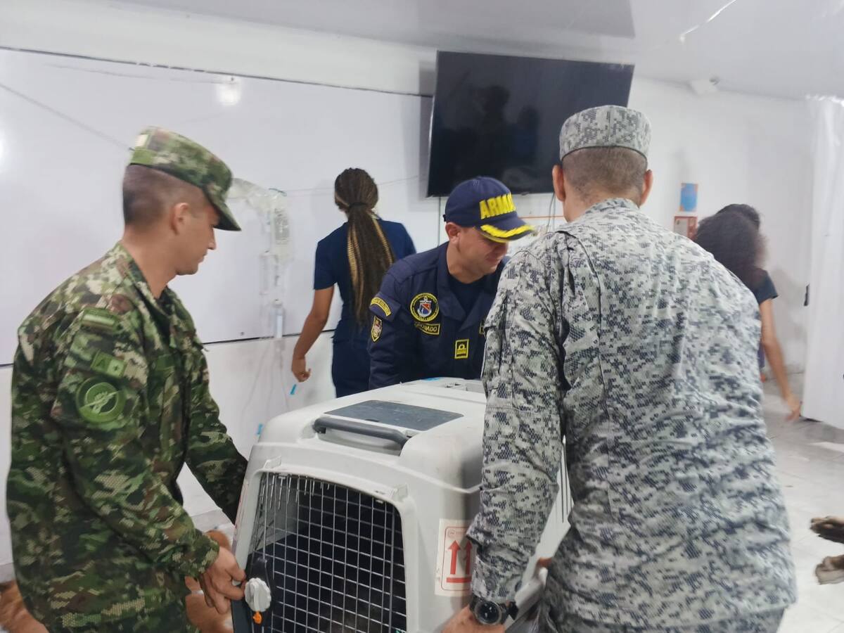 Armada de Colombia apoyó una serie jornadas veterinarias. // foto: cortesía