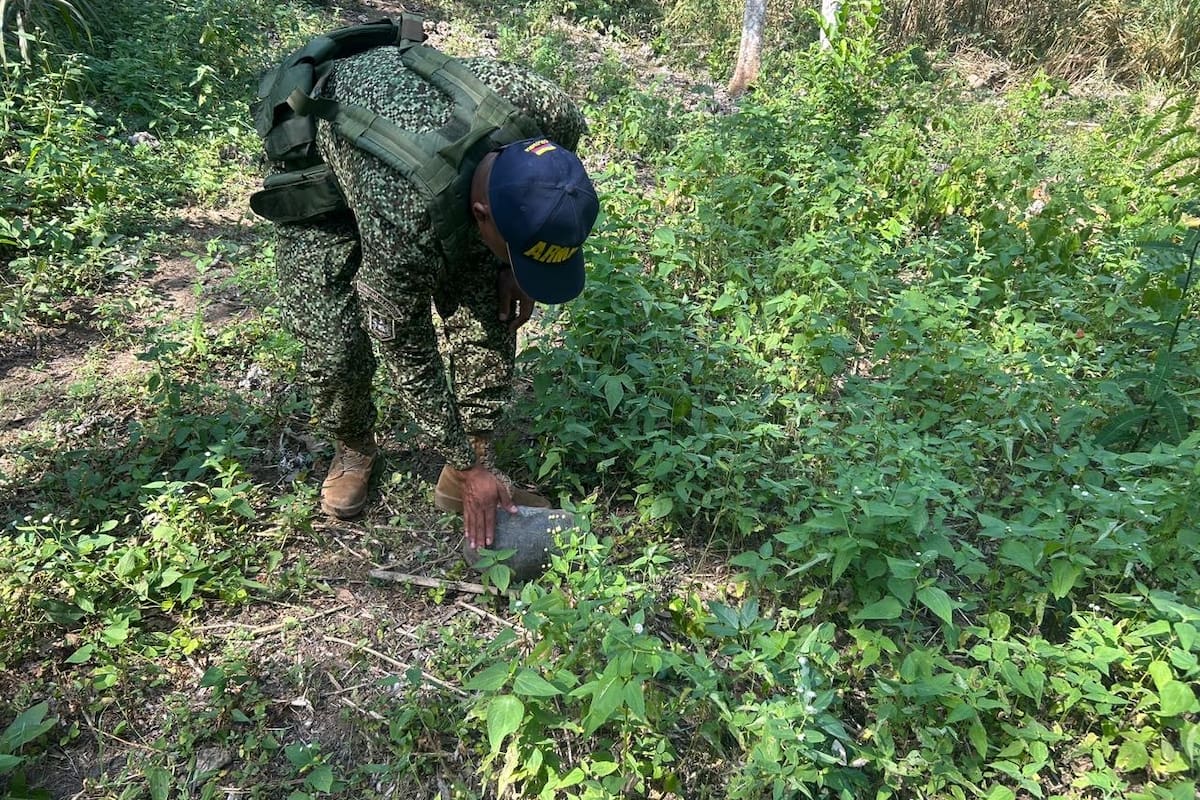 Operativo de la Armada rescata 140 especies de fauna en el Caribe