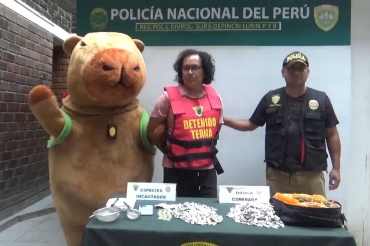 Video: policía se disfrazó de capibara para capturar a traficante de drogas