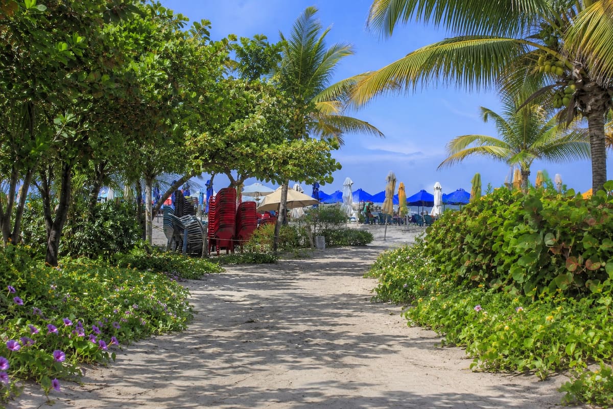 Así luciría una de las playas de Bocagrande con mayor vegetación. //Imagen realizada con IA.