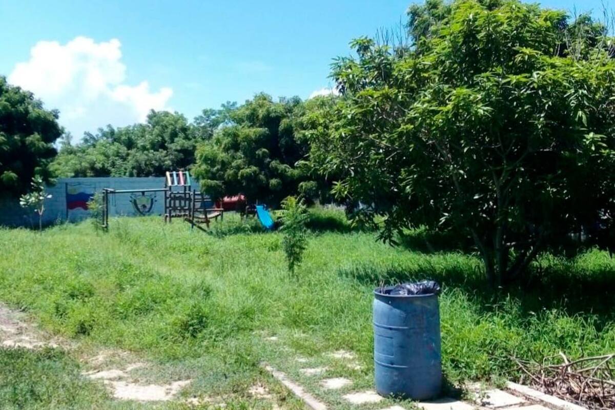 Al colegio de Punta Canoa se lo traga la maleza