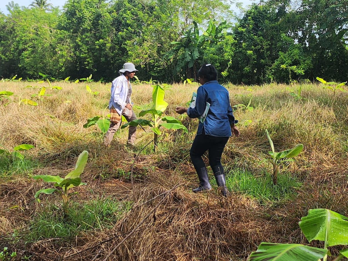 Asohofrucol ofrece varios servicios a los pequeños productores hortifrutícolas del departamento. // Cortesía