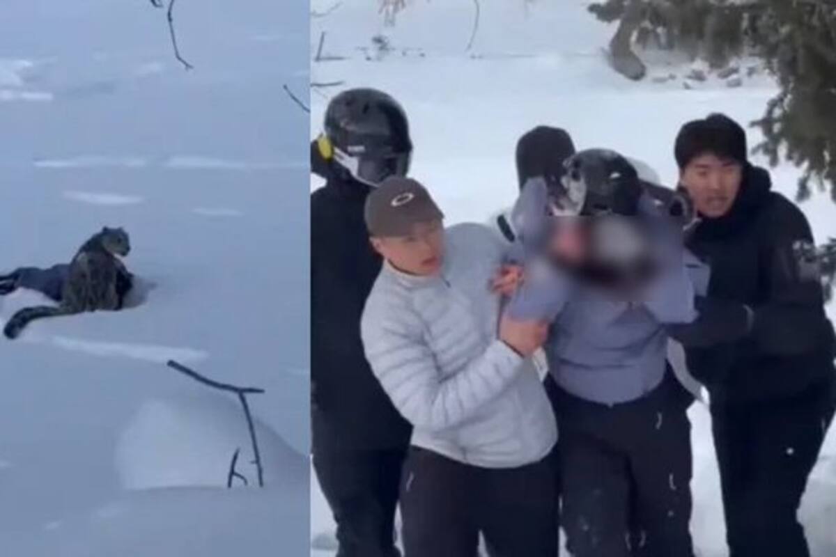 Revelan la selfie que esquiadora se tomó con un leopardo y casi le cuesta la vida