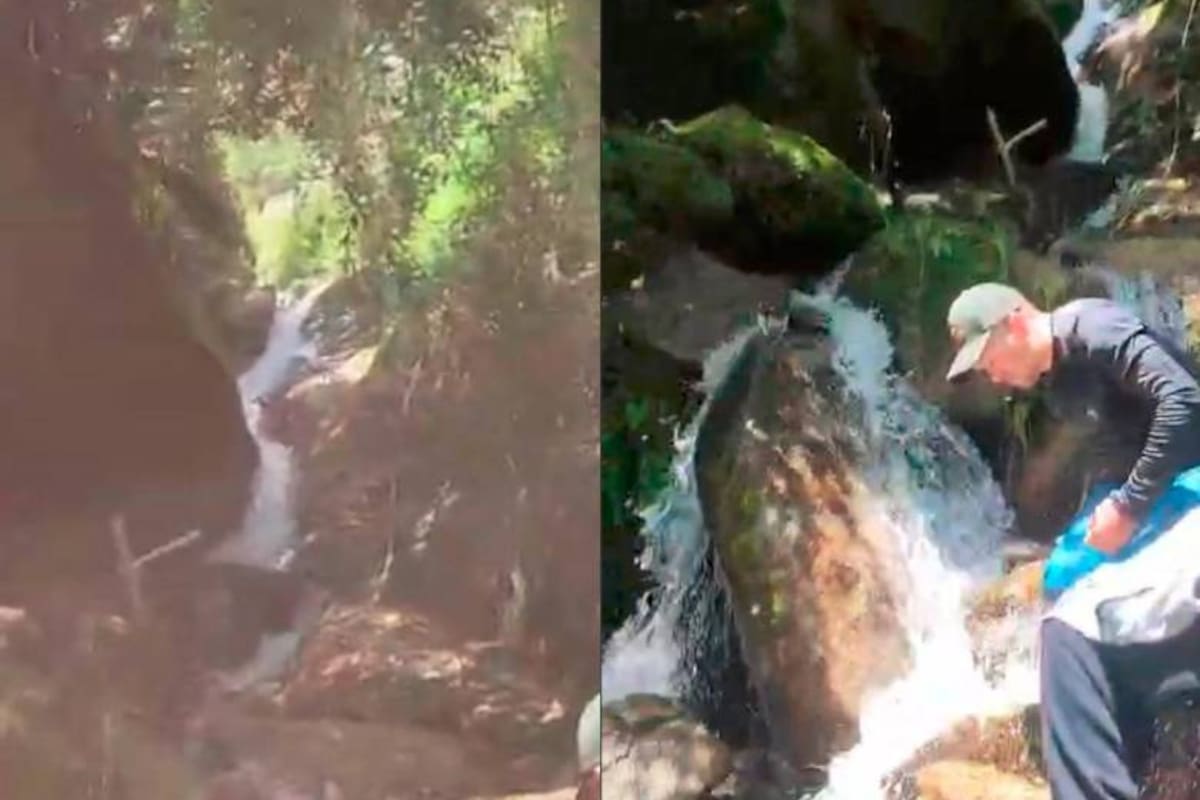 Por evitar ataque de abejas, se tiraron a barranco y quedaron heridos