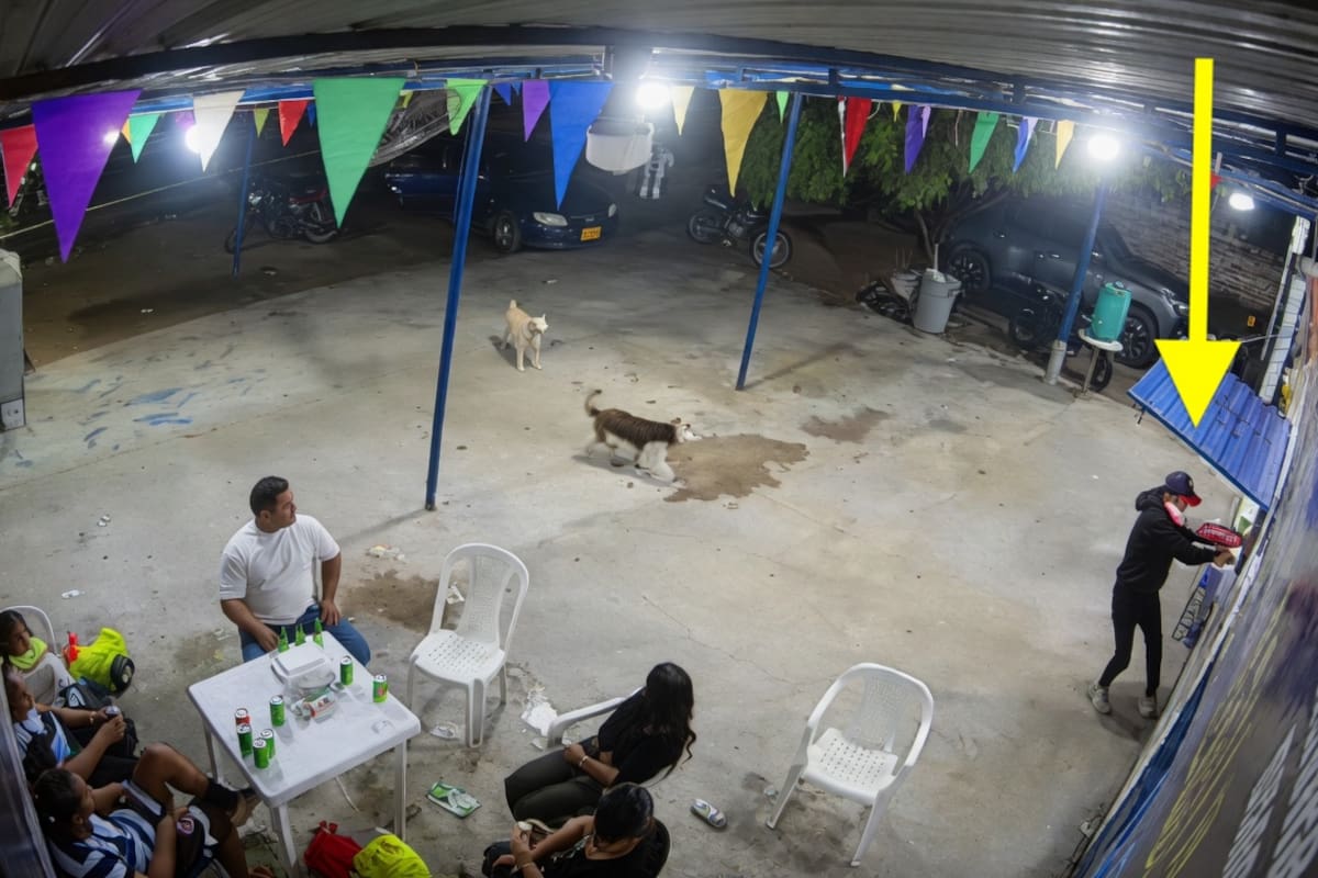 Le salió mal el plan: matan a presunto sicario que baleó a comerciante y rector