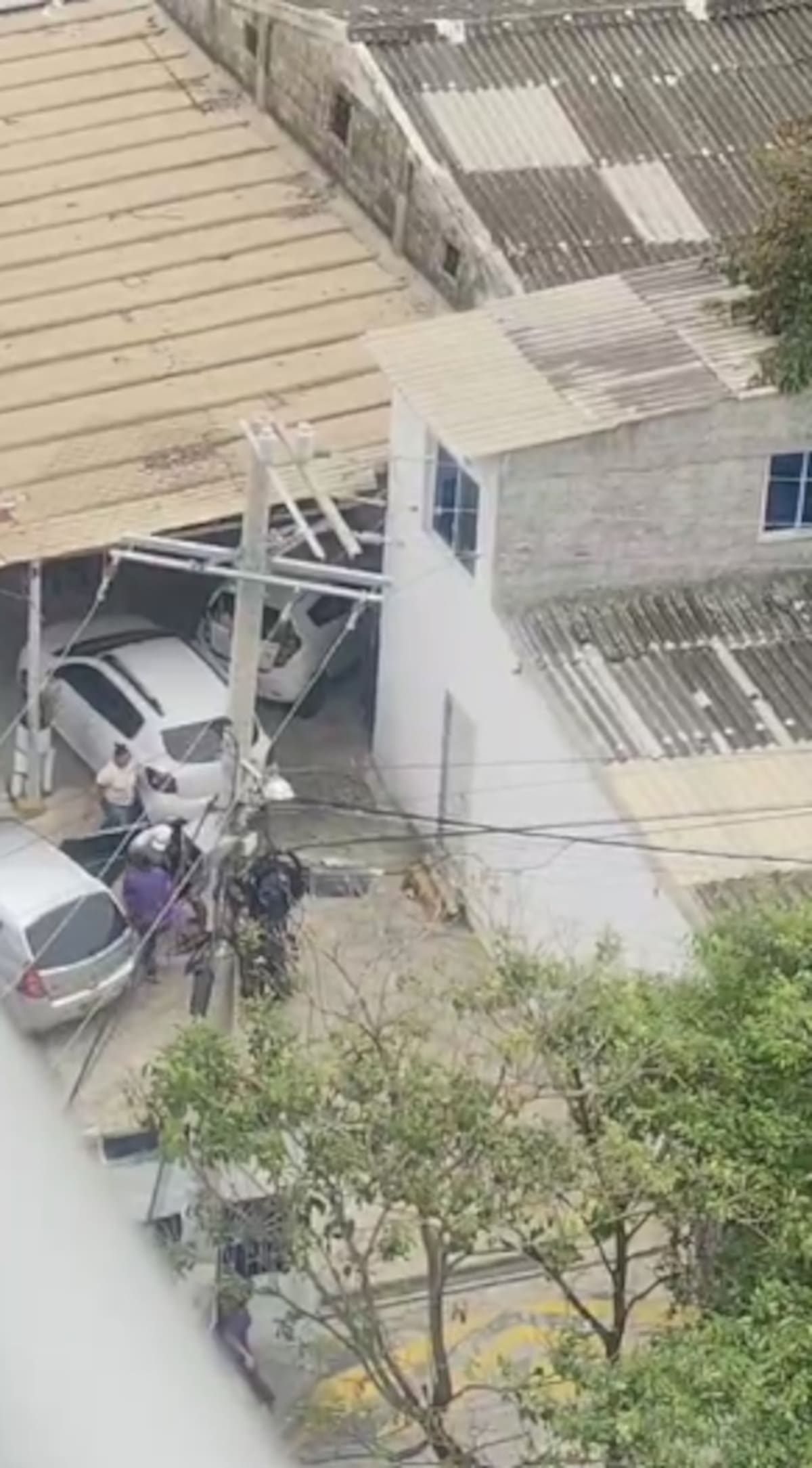 Ataque de sicarios en el barrio El Campestre. // Foto: captura de video