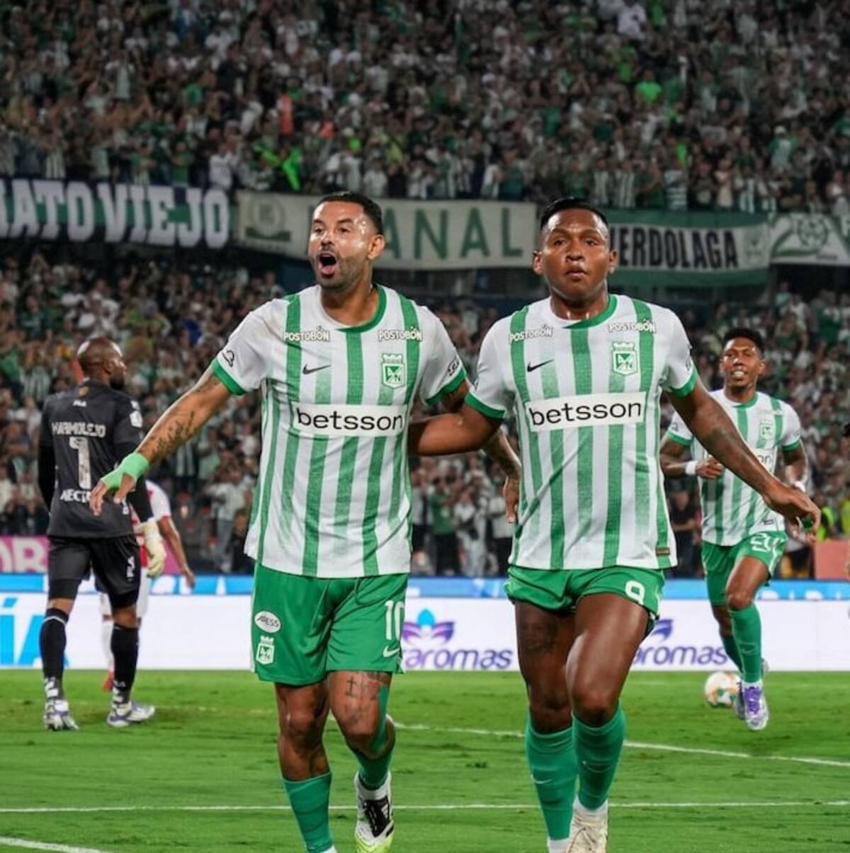 Atlético Nacional estará en la Copa Sudamericana, donde ya ha sido semifinalista.//CORTESÍA