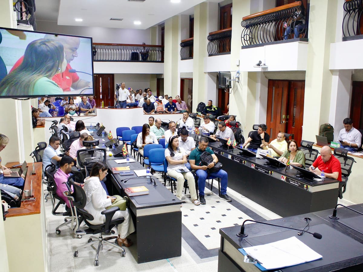 Audiencia pública del Proyecto de Acuerdo que busca establecer lineamientos para una política pública de transición energética.// Foto: cortesía.
