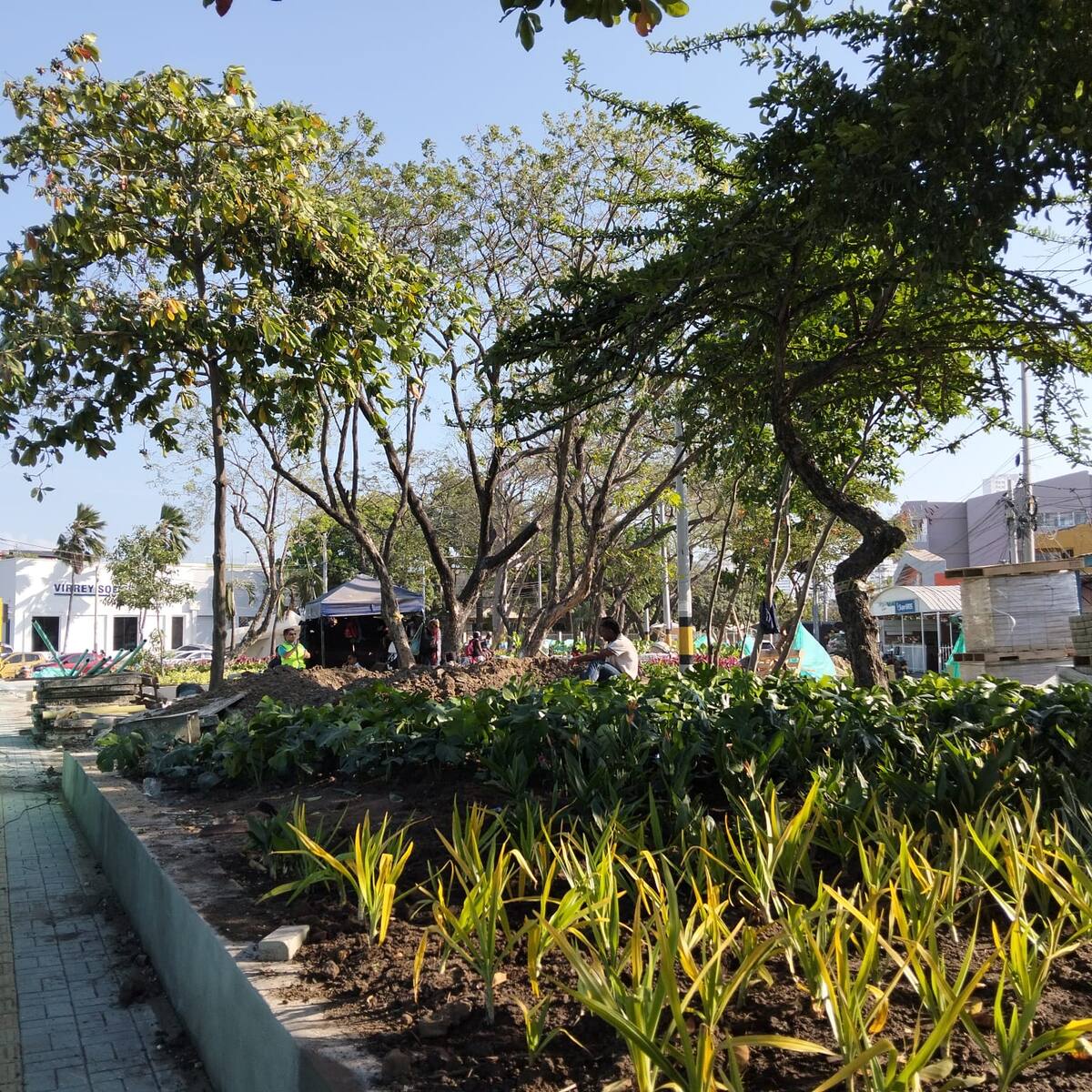 Avance de los trabajos de recuperación del parque Reloj Floral. // Foto: Zenia Valdelamar - El Universal.