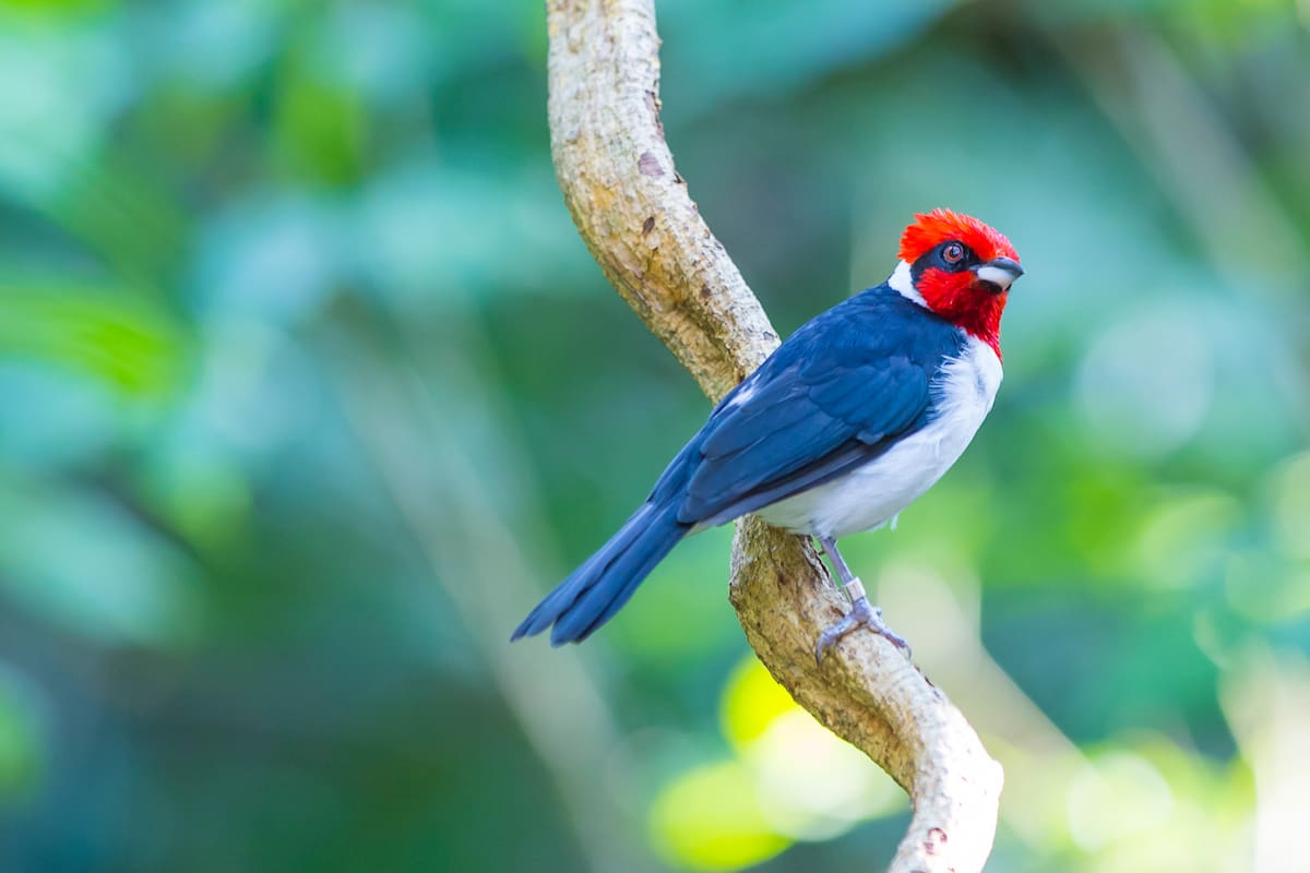 Martín Zapatero.