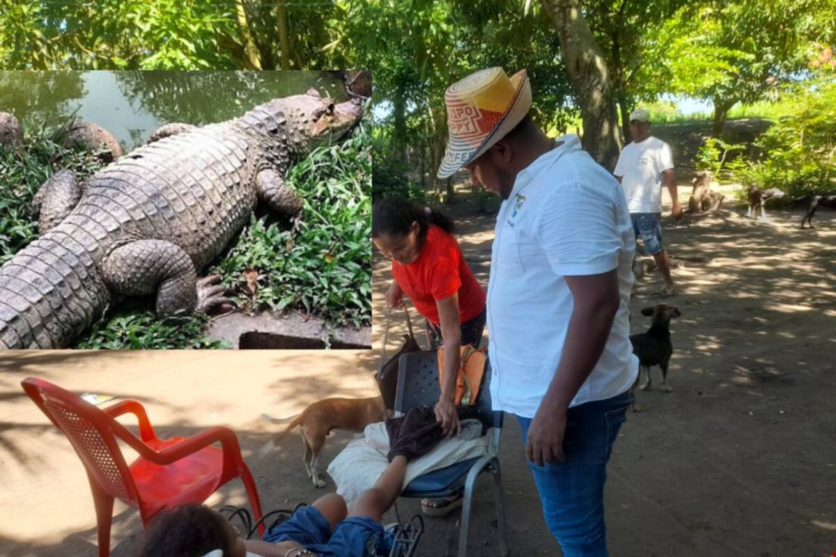Insólito: babilla muerde a estudiante en plena jornada escolar, en Bolívar