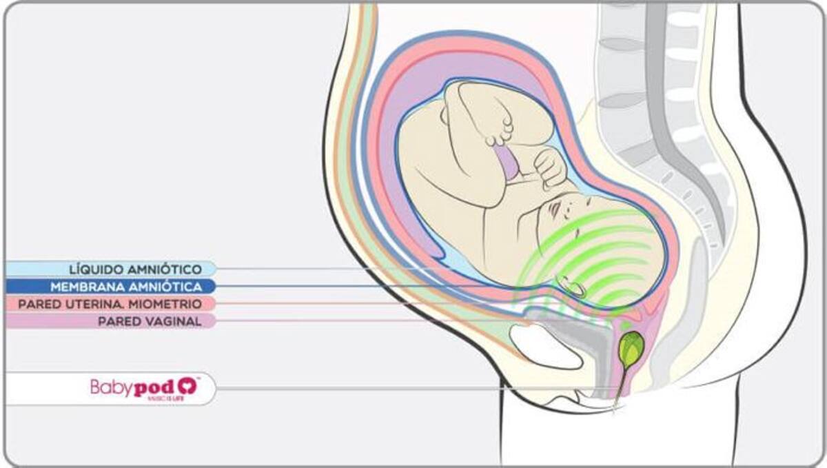 babypod.net