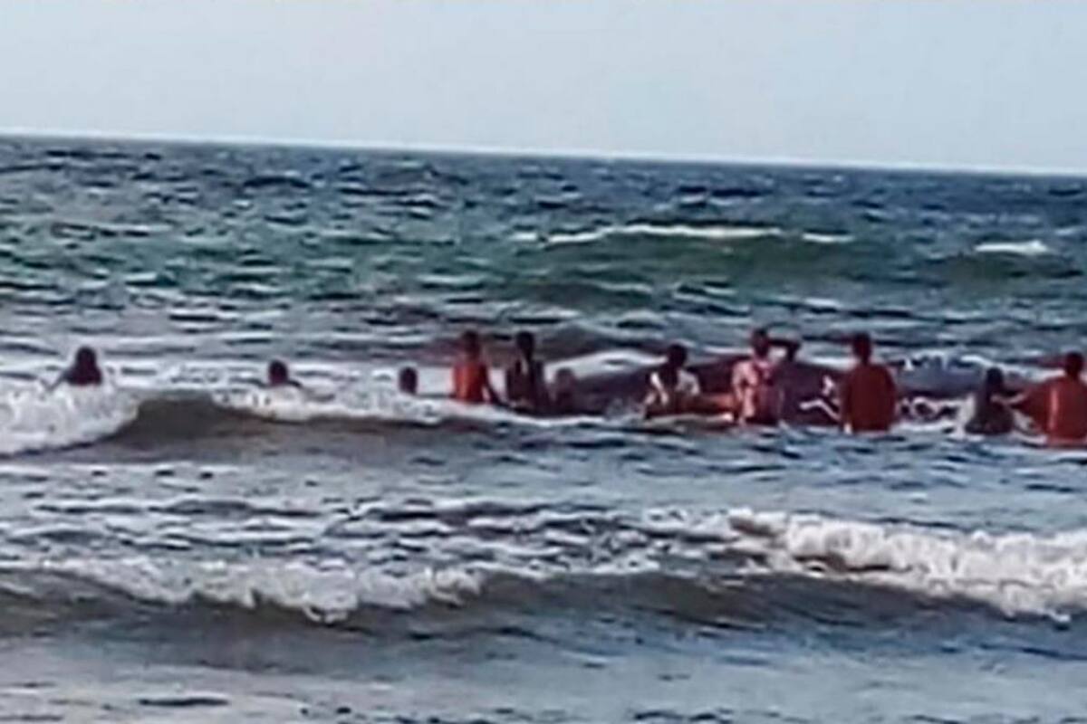 CVS pidió no consumir carne de ballena muerta en playas de Córdoba