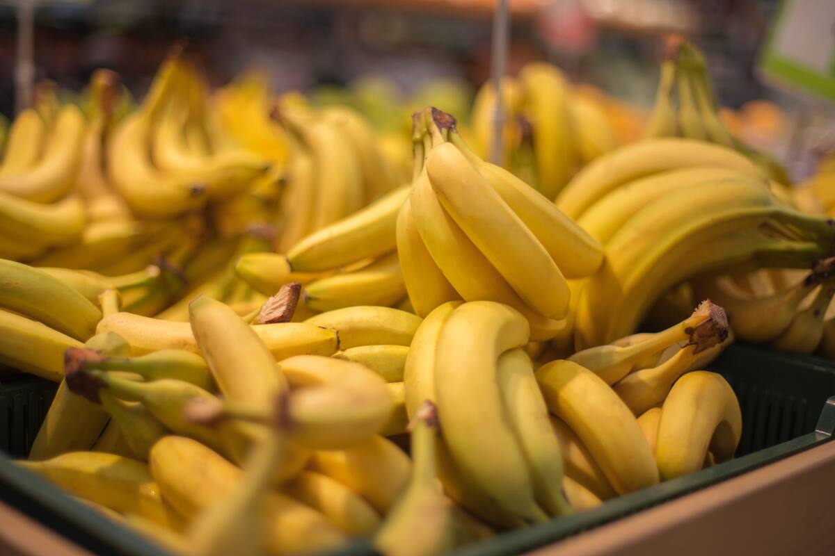 Latinoamérica es la región donde más se produce banano. // Foto: 123RF