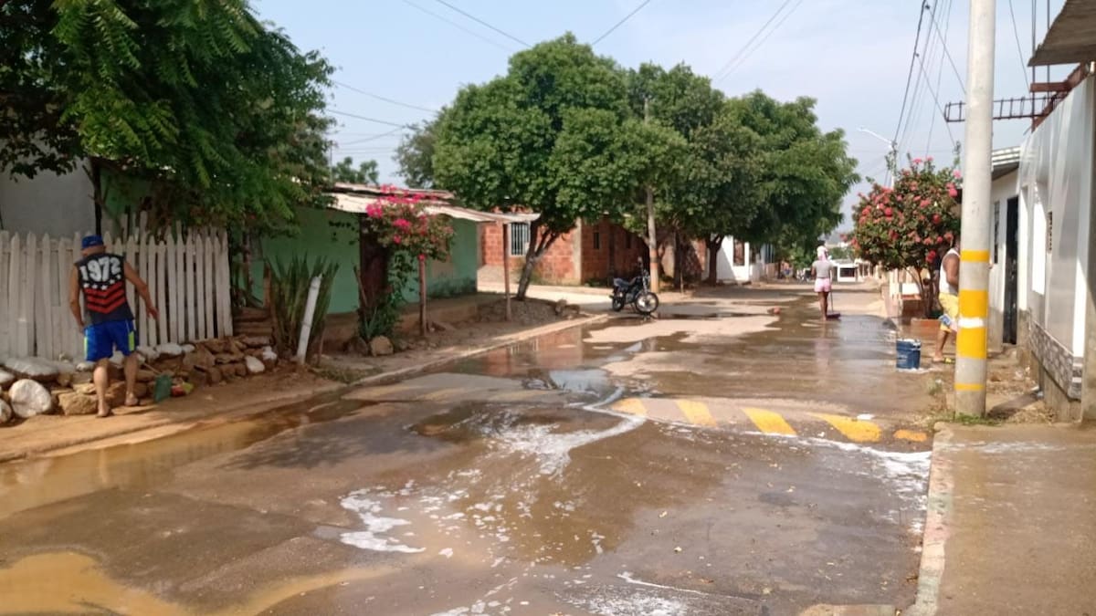 La sospechosa fue capturada en su casa ubicada en el barrio Belisario de Cúcuta. //Foto redes sociales