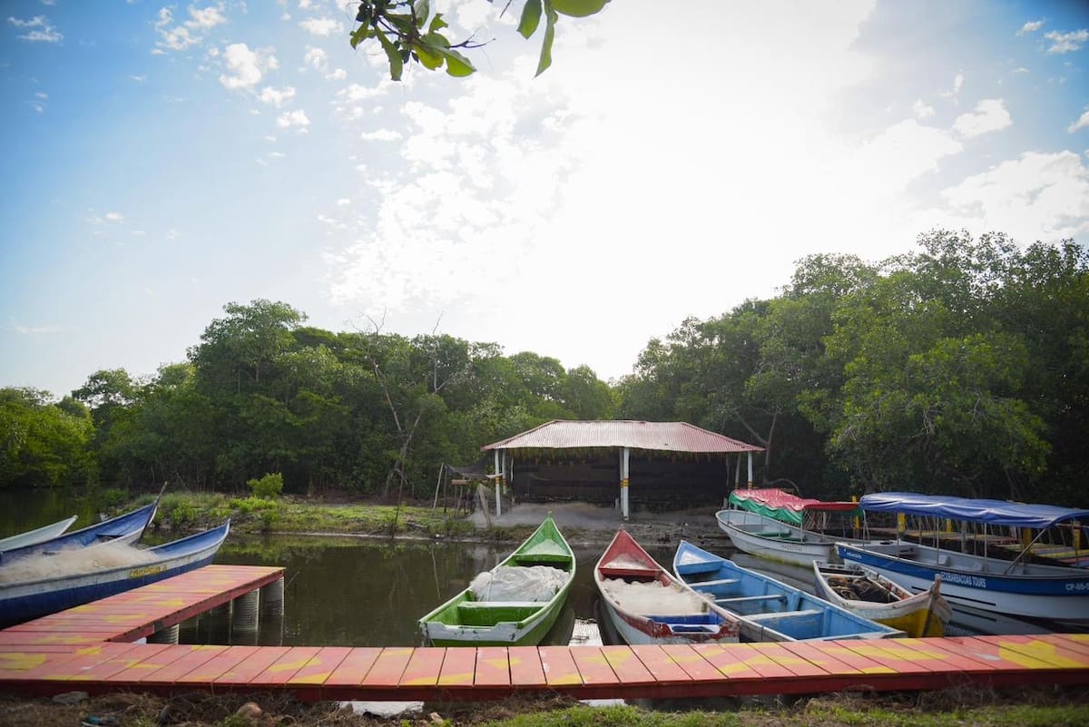 Barú apuesta por turismo comunitario en Ararca y Santa Ana. // cortesía: +VIDA Barú