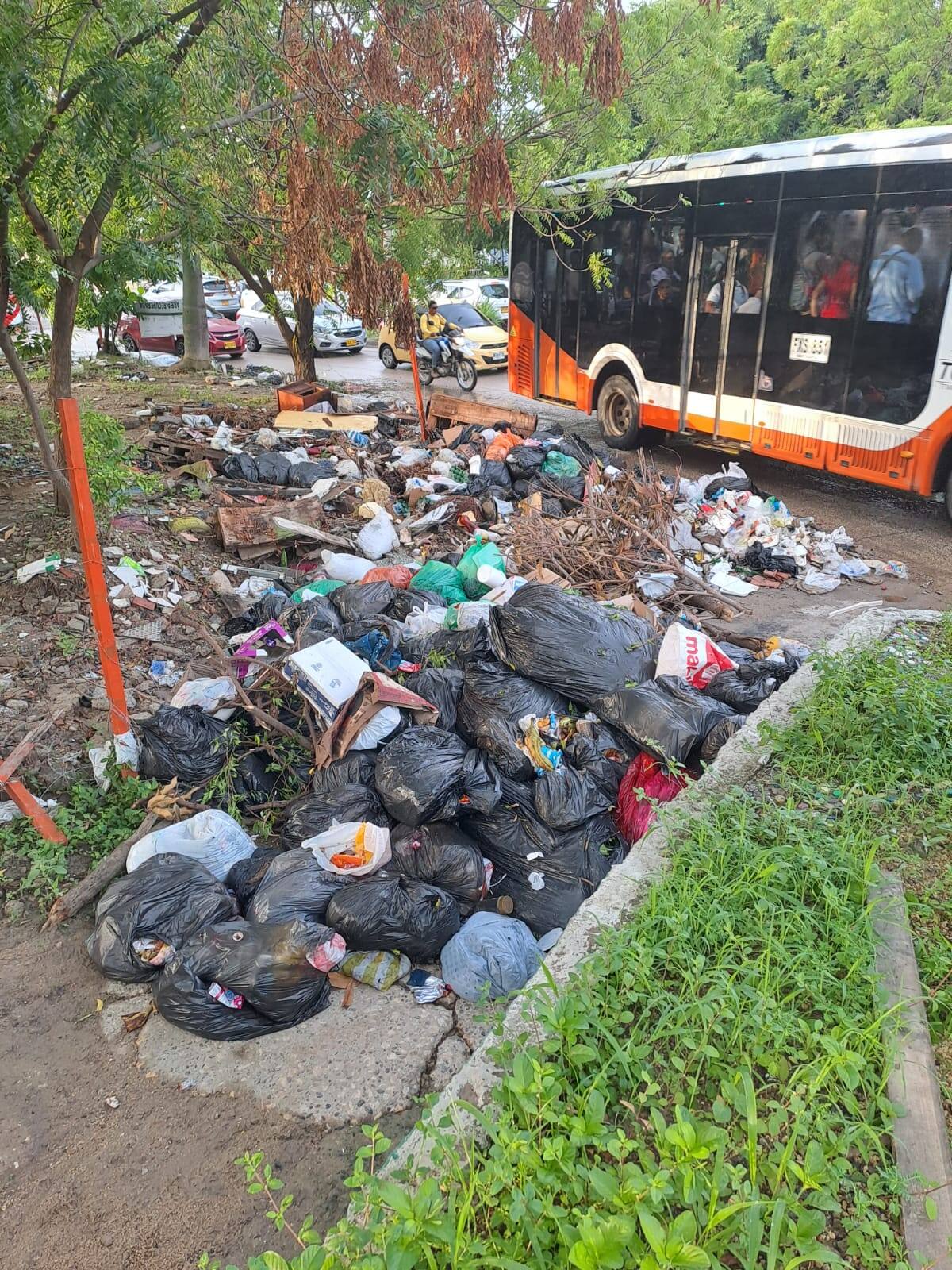 Basuras en zonas verdes en el barrio El Campestre. // Cortesía.