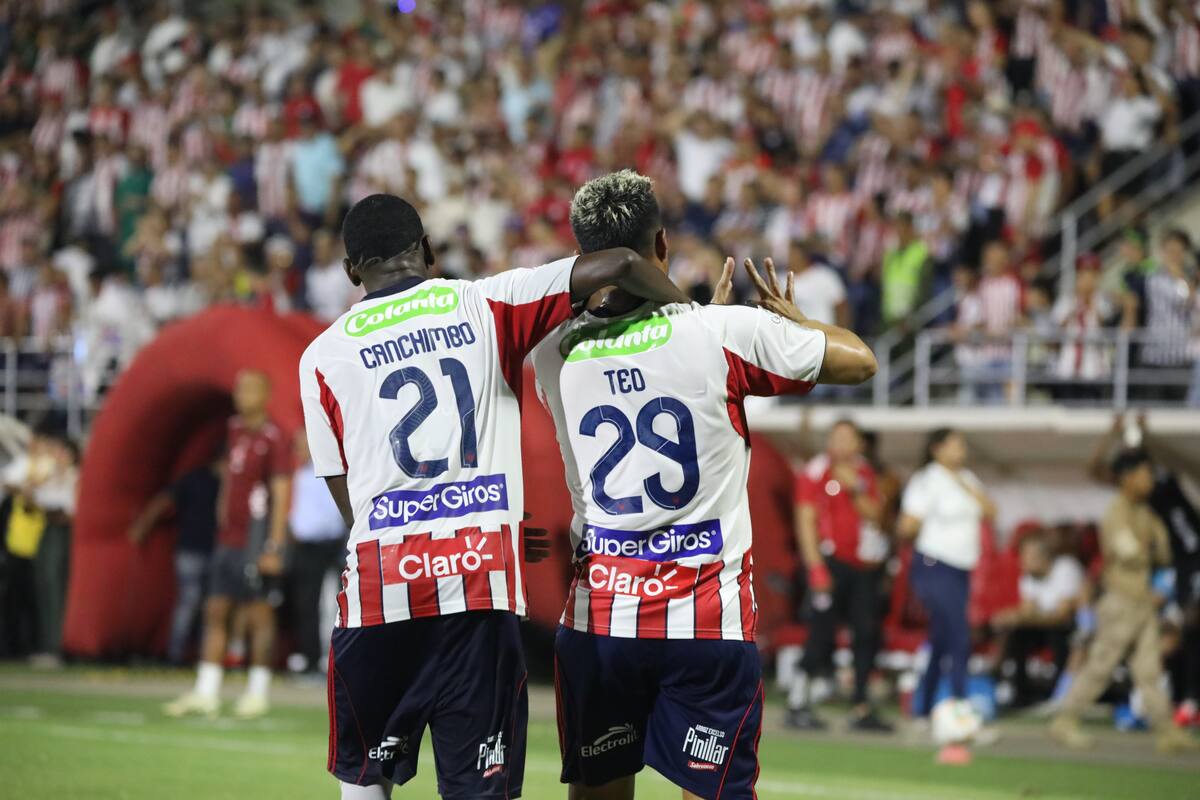 Libertadores: este será el árbitro del partido de Junior ante Palmeiras