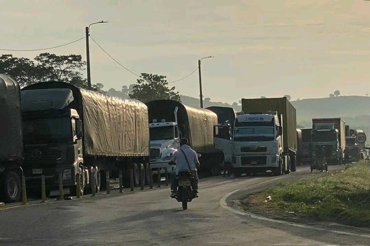 El Carmen de Bolívar: ¿por qué marcharán los campesinos este 25 de agosto?