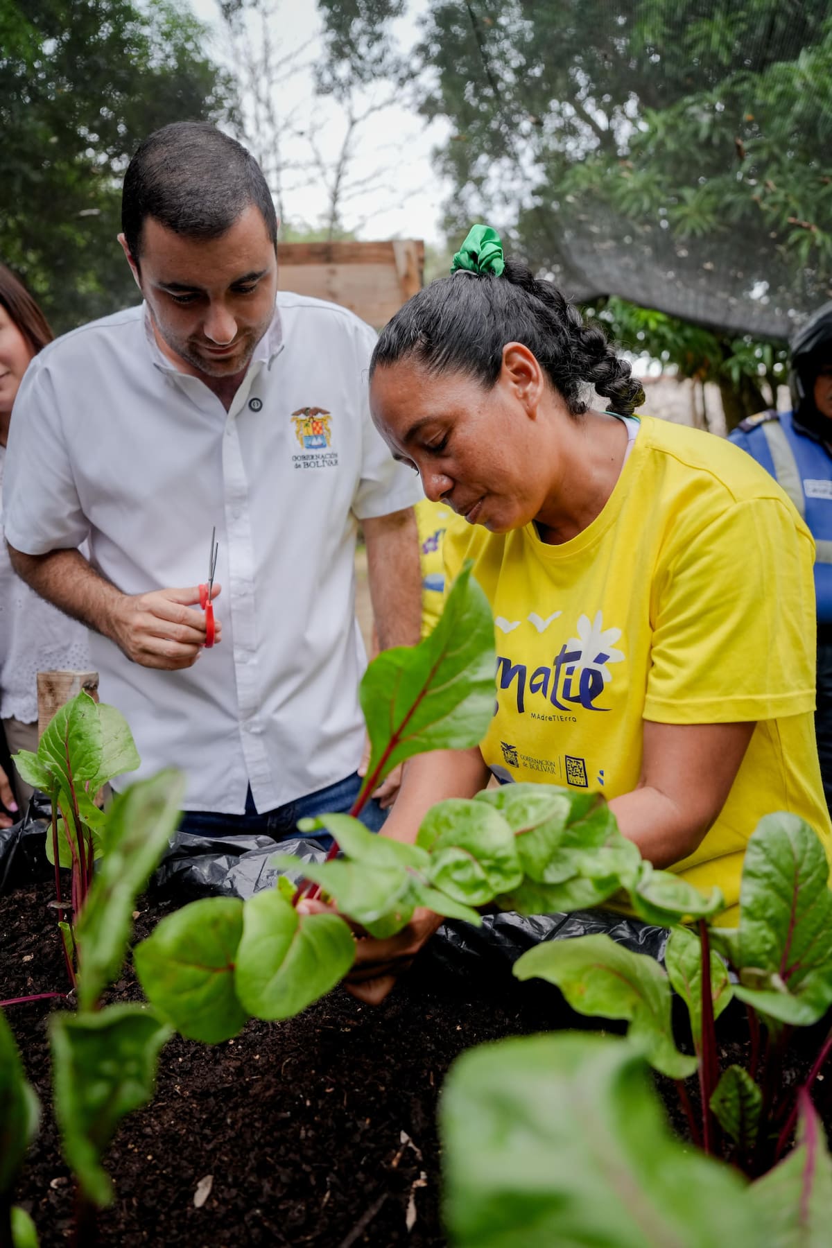 Un proyecto que beneficia a cientos de mujeres rurales // Cortesía Gobernación de Bolívar.
