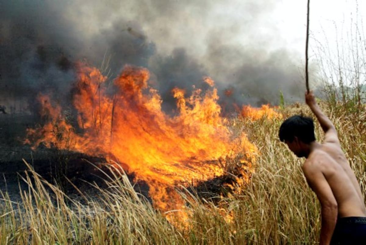 Imagen de referencia sobre un incendio. // Foto: AFP
