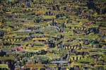 Borussia Dortmund y la curiosa iniciativa para evitar que hinchas usen celulares en los partidos