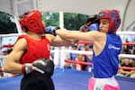 Quedaron definidos los finalistas de la II Copa Talento Barranquilla de Boxeo Olímpico