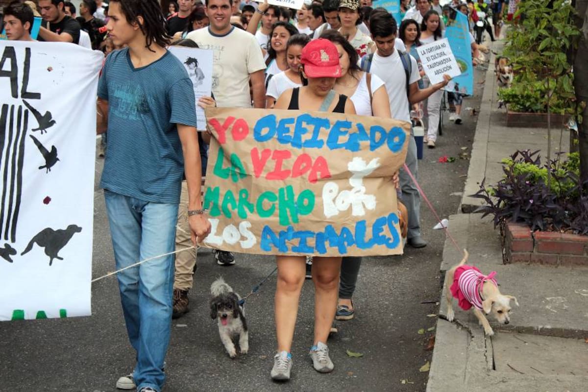 ¡Indignación y rechazo! Sin vida y con señales de tortura hallaron a burra de 3 meses