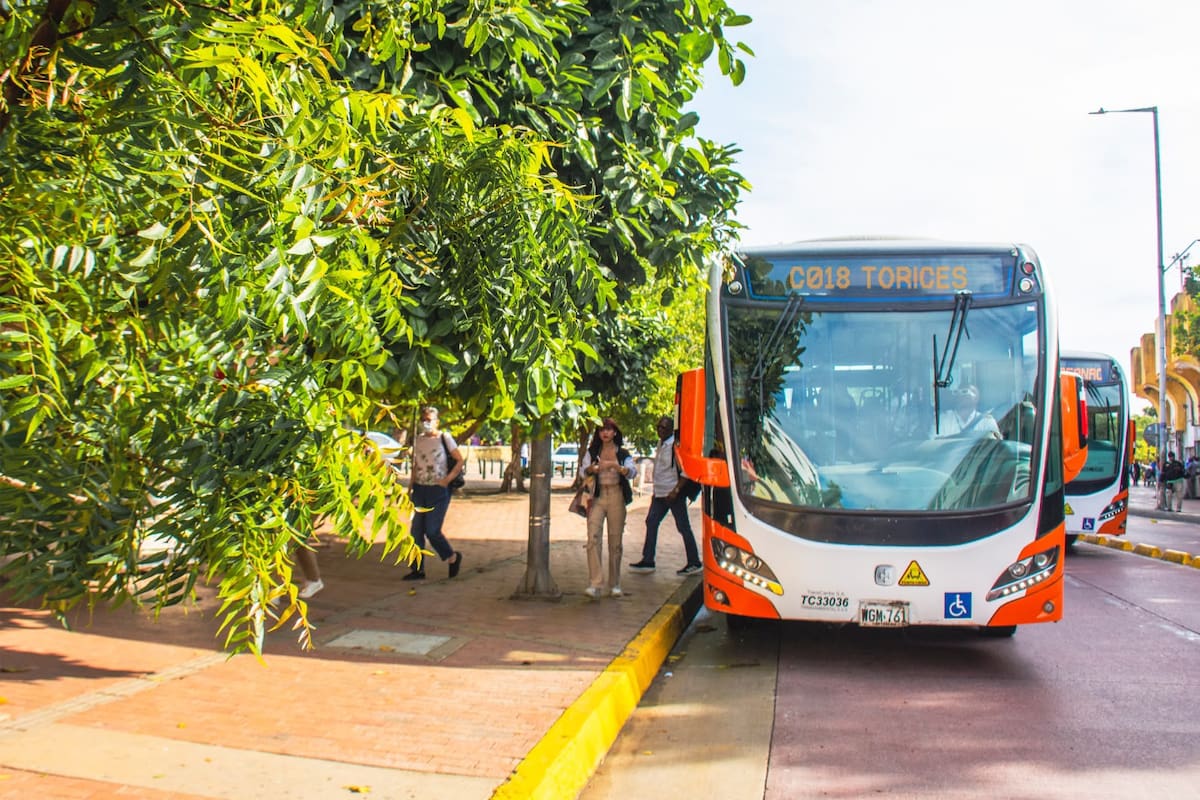 Subsidio de Transcaribe: así pueden postularse los estudiantes