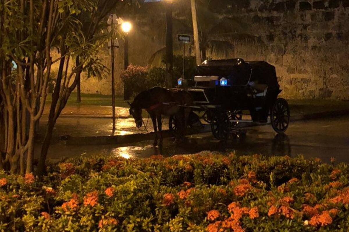 Rechazo en Cartagena por caballo dejado a su suerte en pleno aguacero