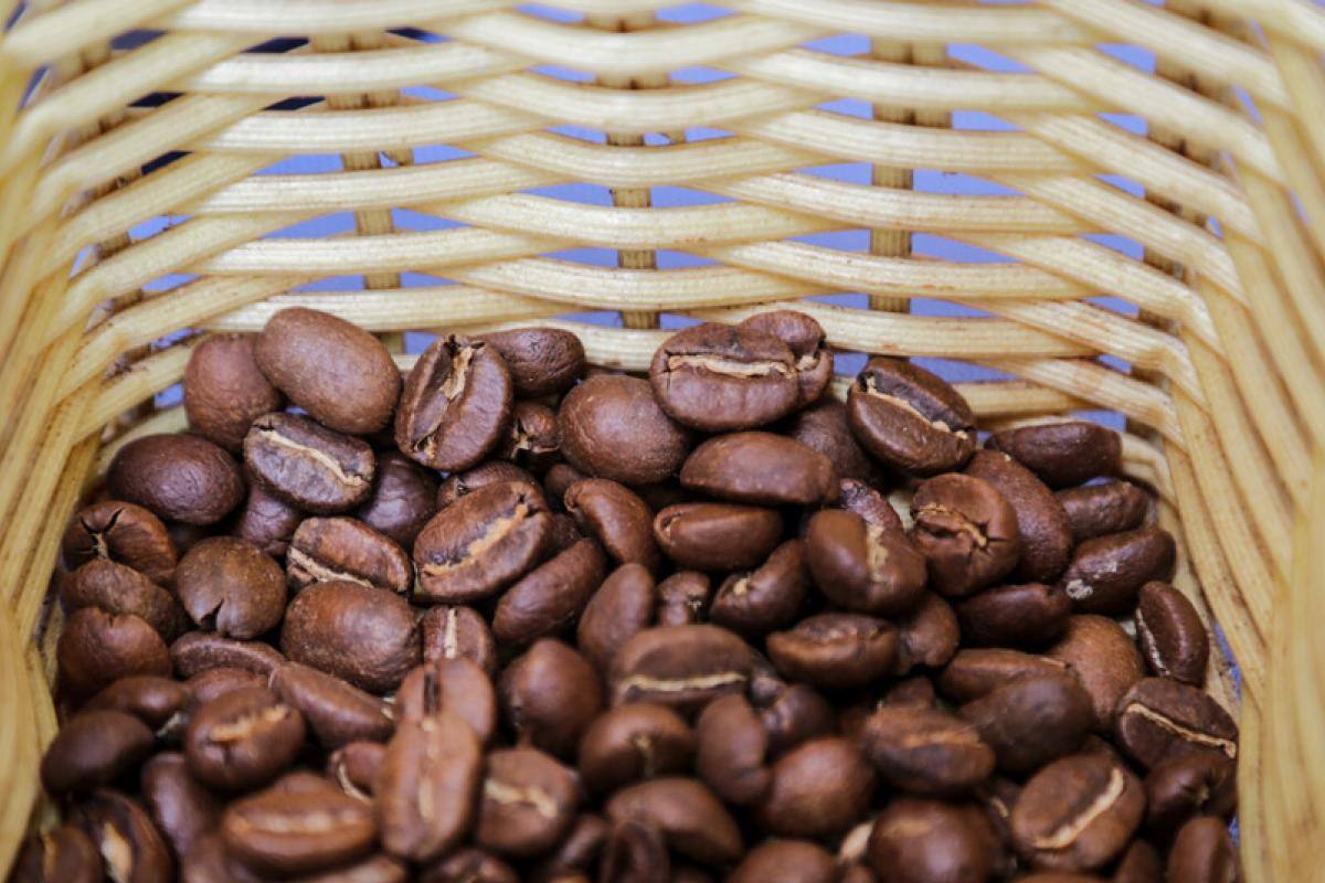 La producción de café en Colombia marcha bien: en mayo aumentó un 39%
