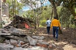 Más de 8 mil caficultores afectados tras el terremoto en Colombia
