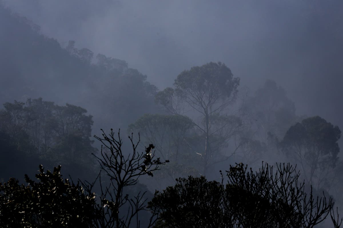 Proyecto de ley busca cambiar la atención del Estado a víctimas del cambio climático en Colombia
