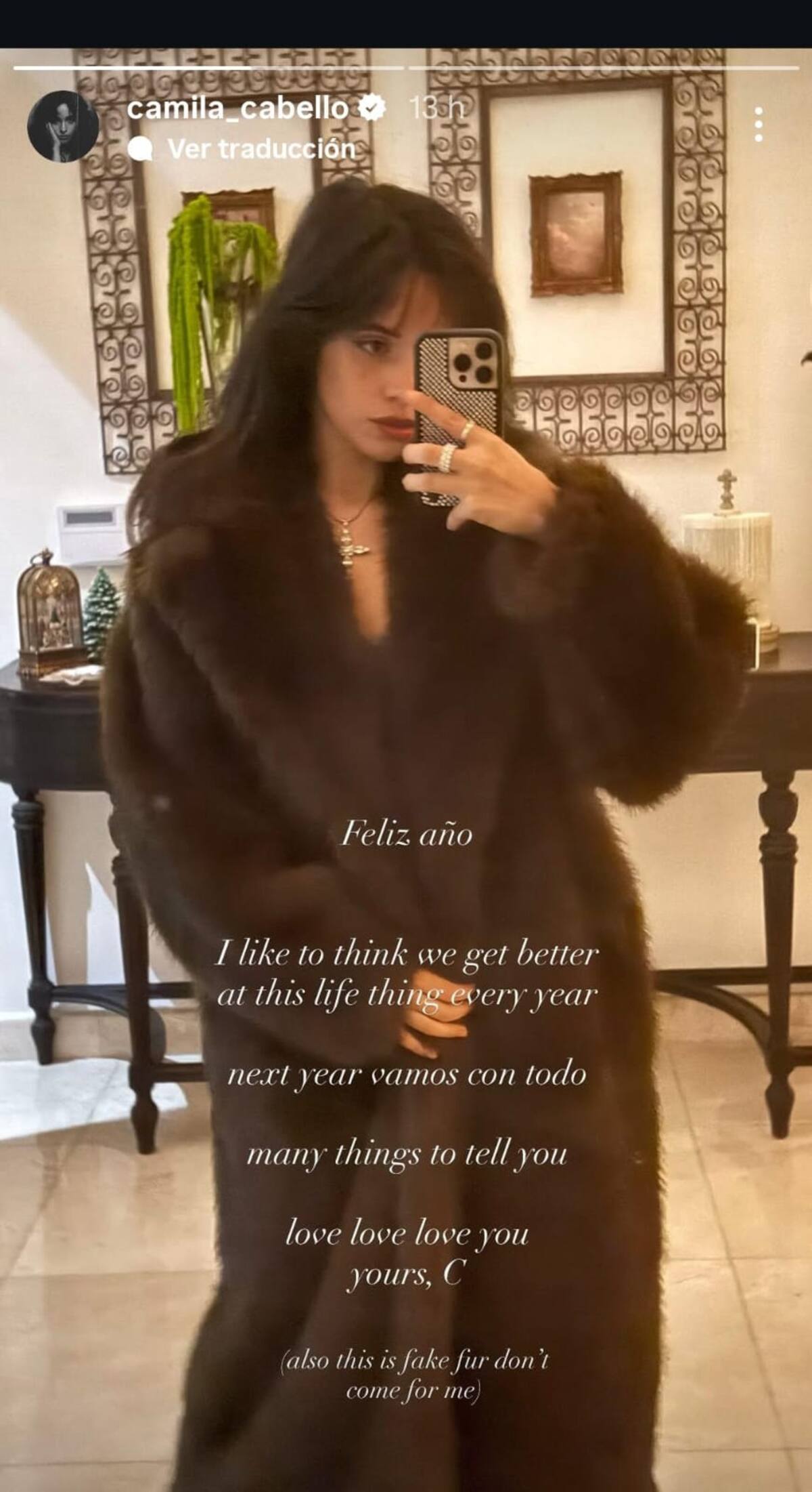 Camila Cabello despidió el año con esta postal