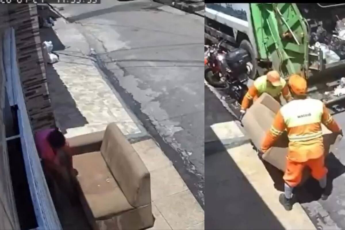 Video: sacó el sofá al sol, el camión de basura se lo llevó y se volvió viral