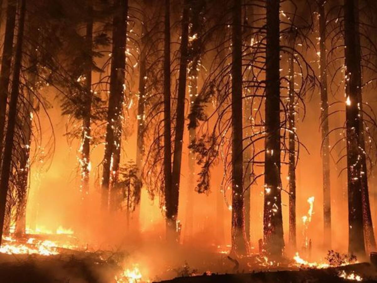 'Camp Fire', el fuego más destructivo de su historia que provoca en pocos días al menos 76 muertos. //EFE