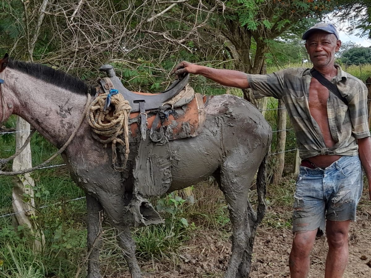 Campesinos aseguran que los animales también sufren el mal estado de la vía. // Foto: cortesía