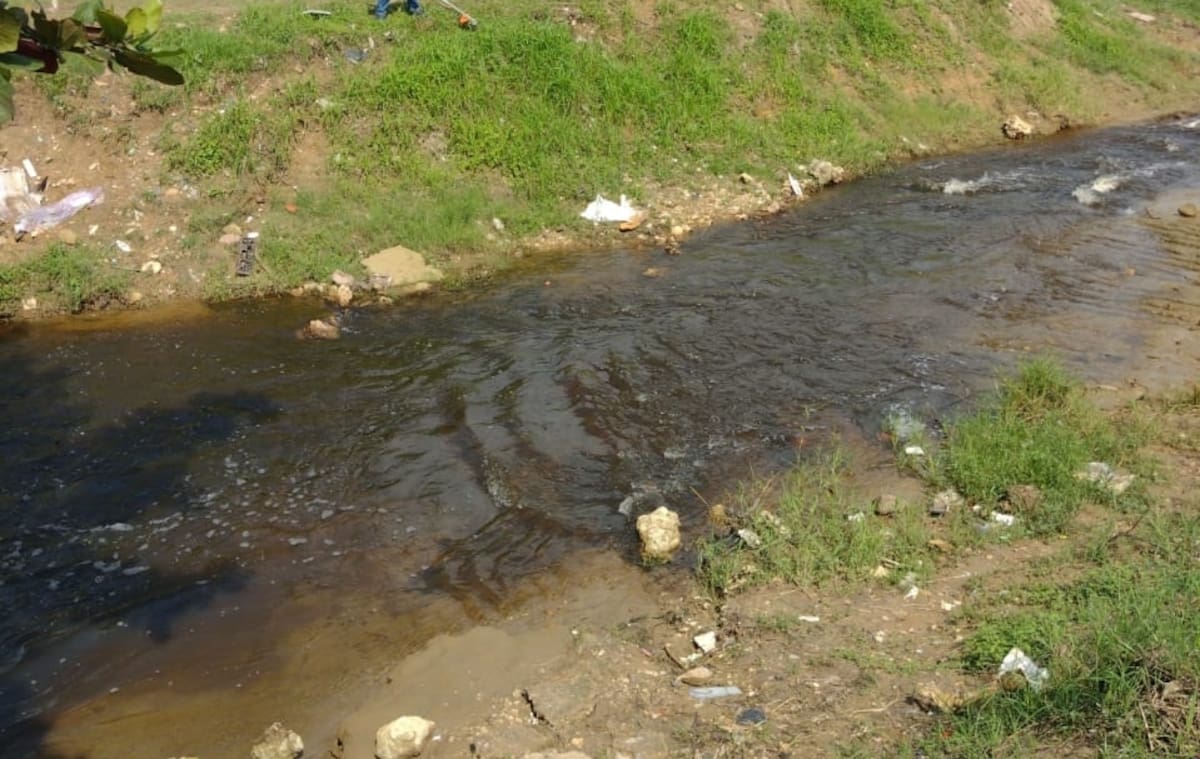Históricamente esta vía de drenaje pluvial ha presentado obstrucciones por vegetación, sedimentos y ocupación irregular de su cause. // Foto: cortesía - Alcaldía de Cartagena