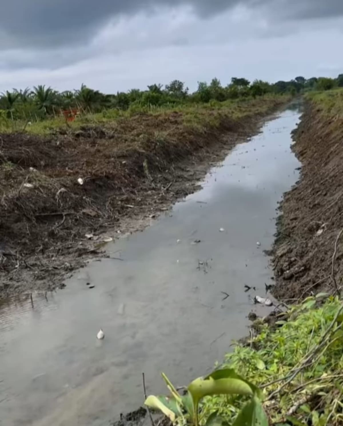 Realizan limpieza y mantenimiento de canales de drenaje en María La Baja. // Cortesía.