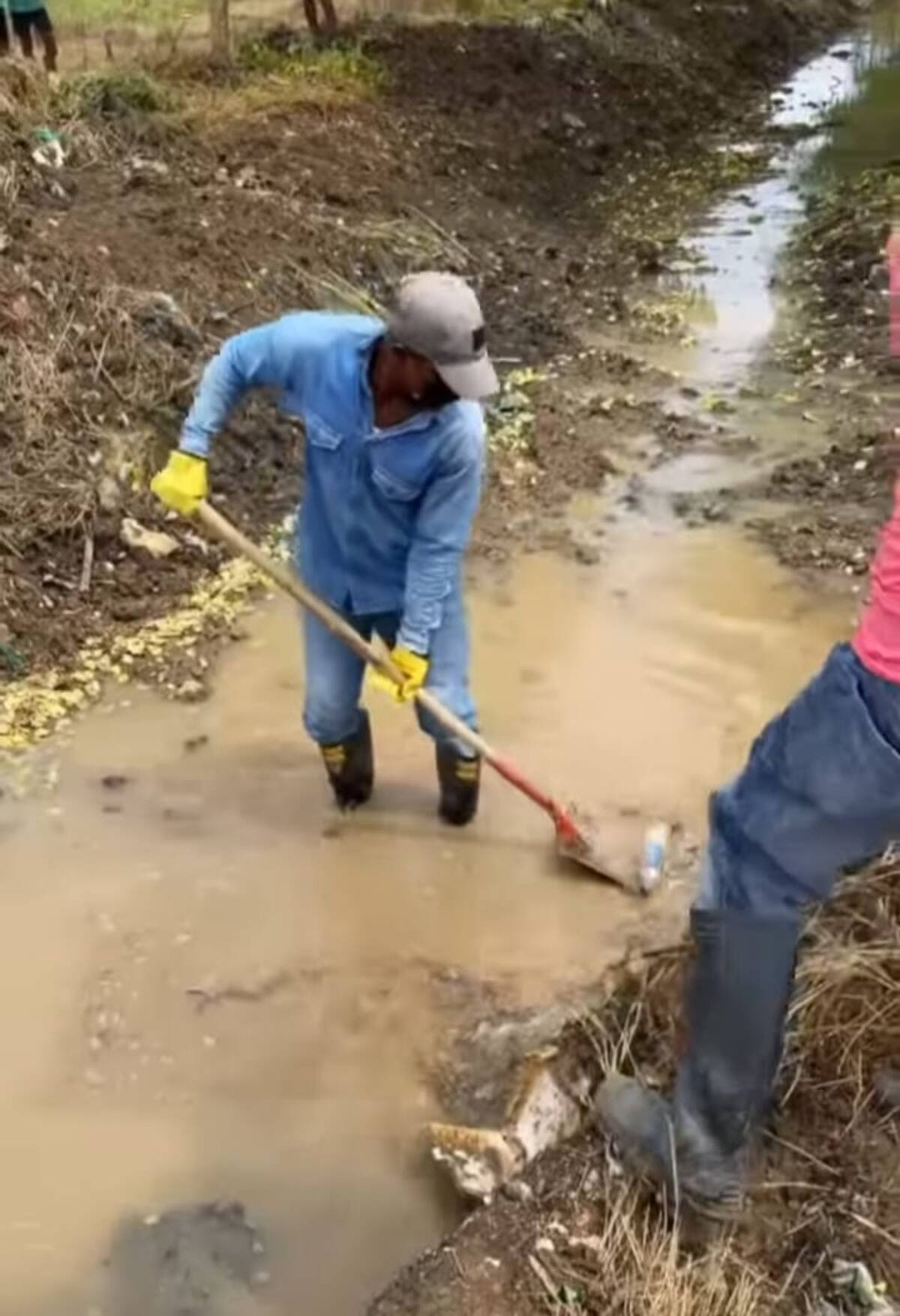 Realizan limpieza y mantenimiento de canales de drenaje en María La Baja. // Cortesía.