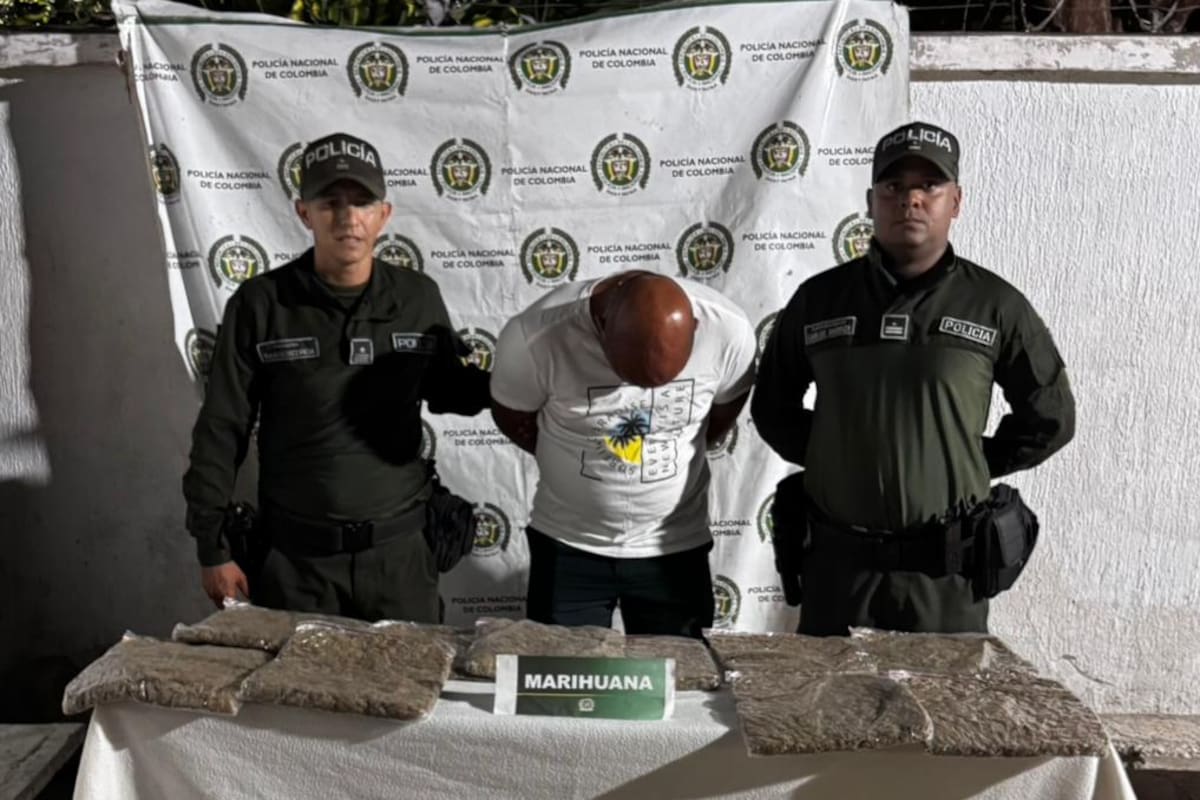 ‘Miny’, la canina que detectó droga a un pasajero en un bus: le hallaron 10 paquetes