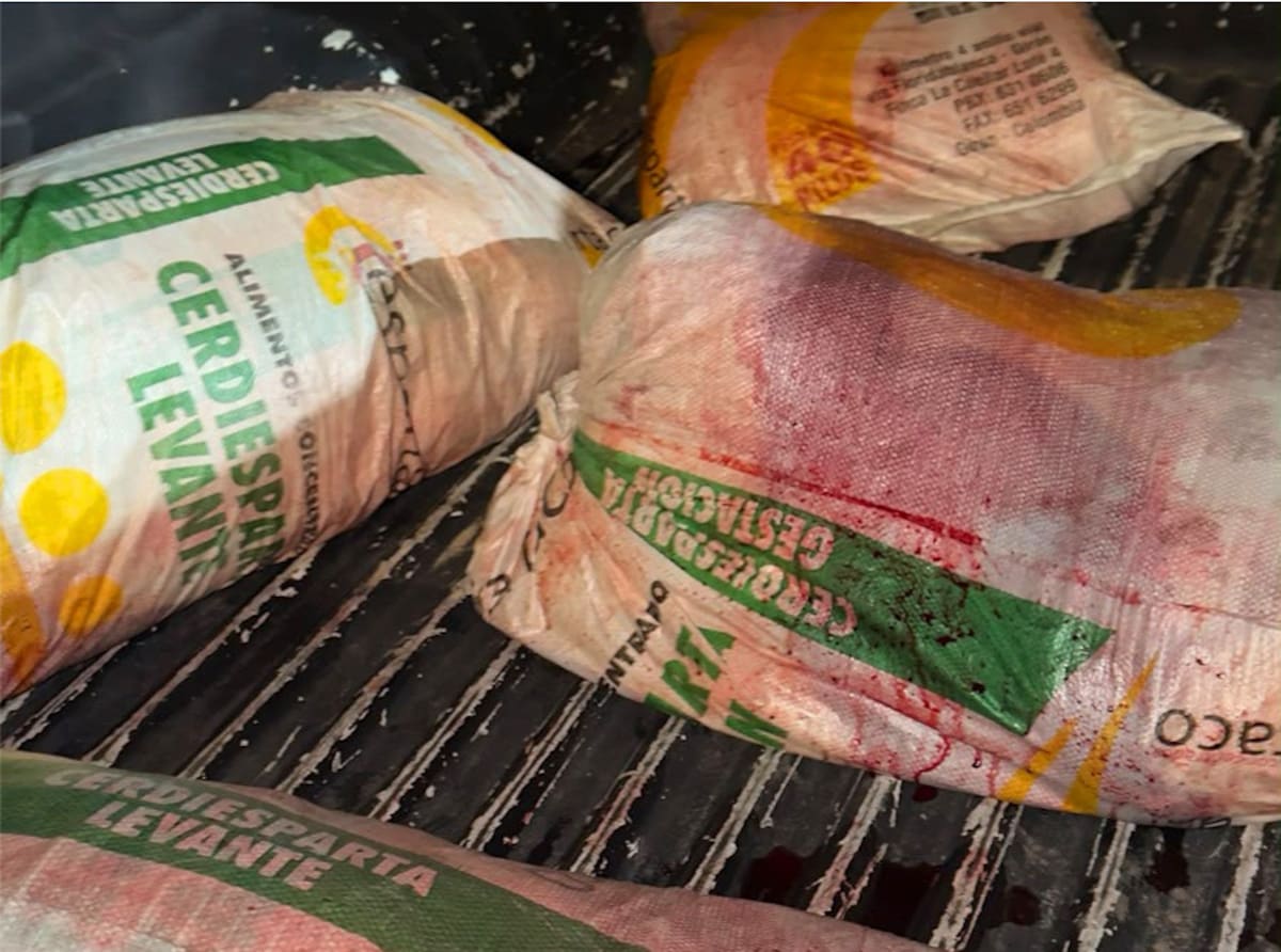 En estos costales eran transportados los 170 kilos de carne porcina que la Policía Atlántico incautó por no cumplir con las mínimas condiciones de higiene y conservación.//Cortesía Policía Atlántico.