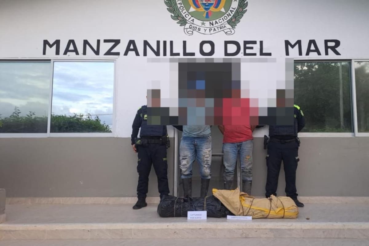 Capturan a hombres por robo de cables en Manzanillo del Mar