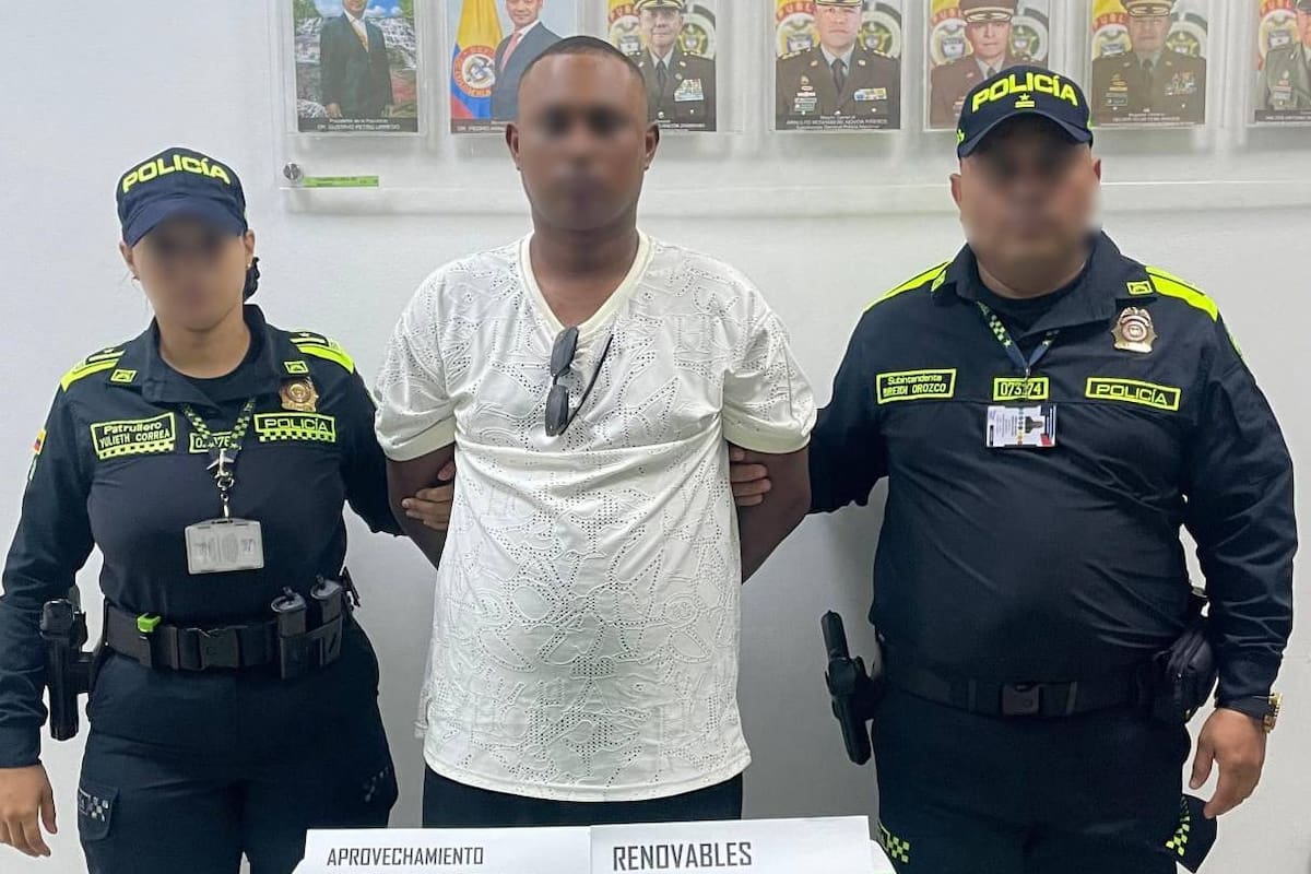 Capturan a viajero en el aeropuerto de Cartagena con ardillas en su cuerpo: una murió
