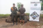 Capturan a un hombre con 22 bultos de carbón ilegal en Magangué