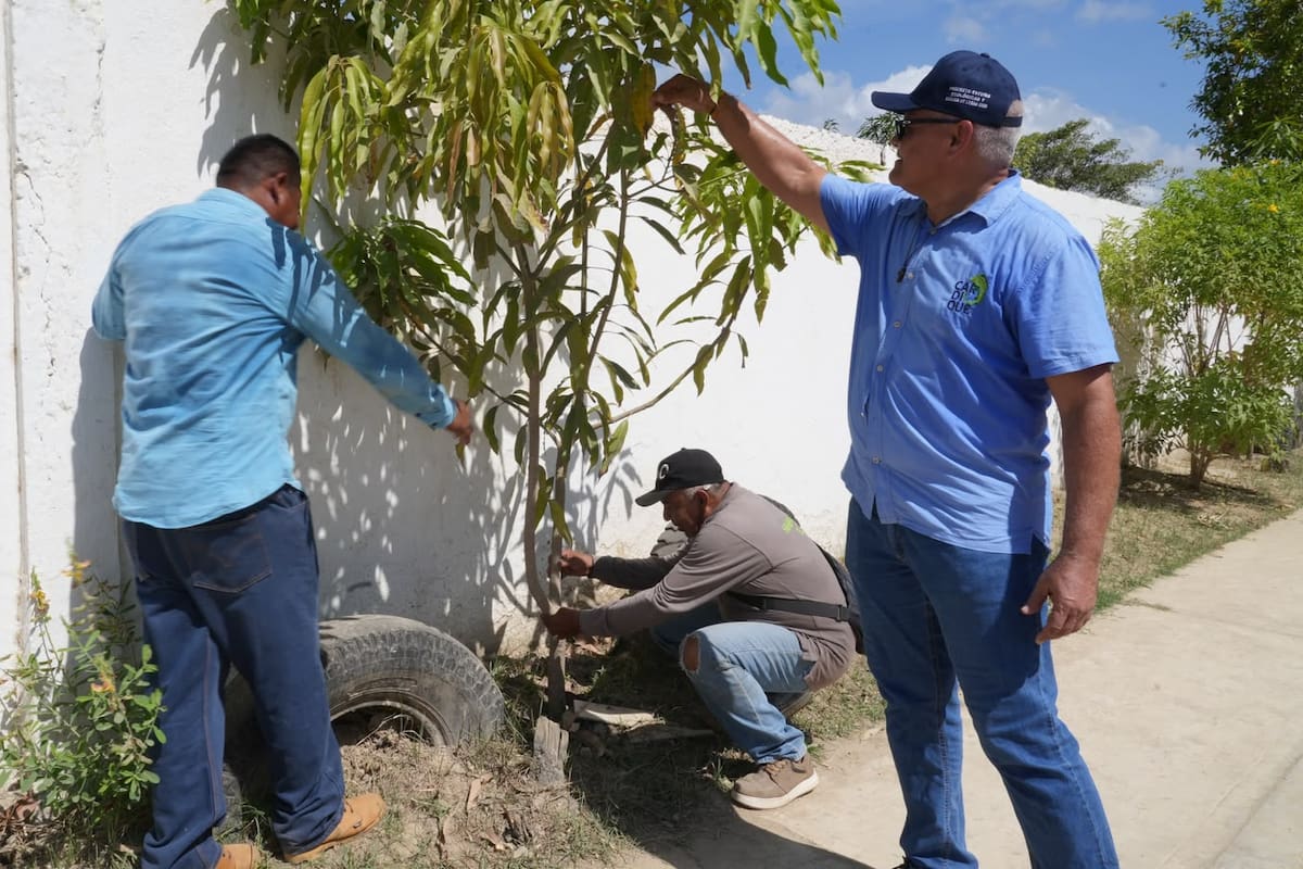 Más de 650 árboles nuevos: así luce hoy Bayunca tras la apuesta ambiental de Cardique