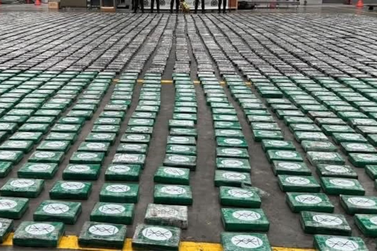 Así intentaban sacarla: frustran envío de 4 toneladas de droga hacia Europa